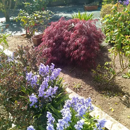 House With 4 Bedrooms In Sur Seulles With Enclosed Garden And Wifi 15 Km From The Beach Hébergement de vacances *